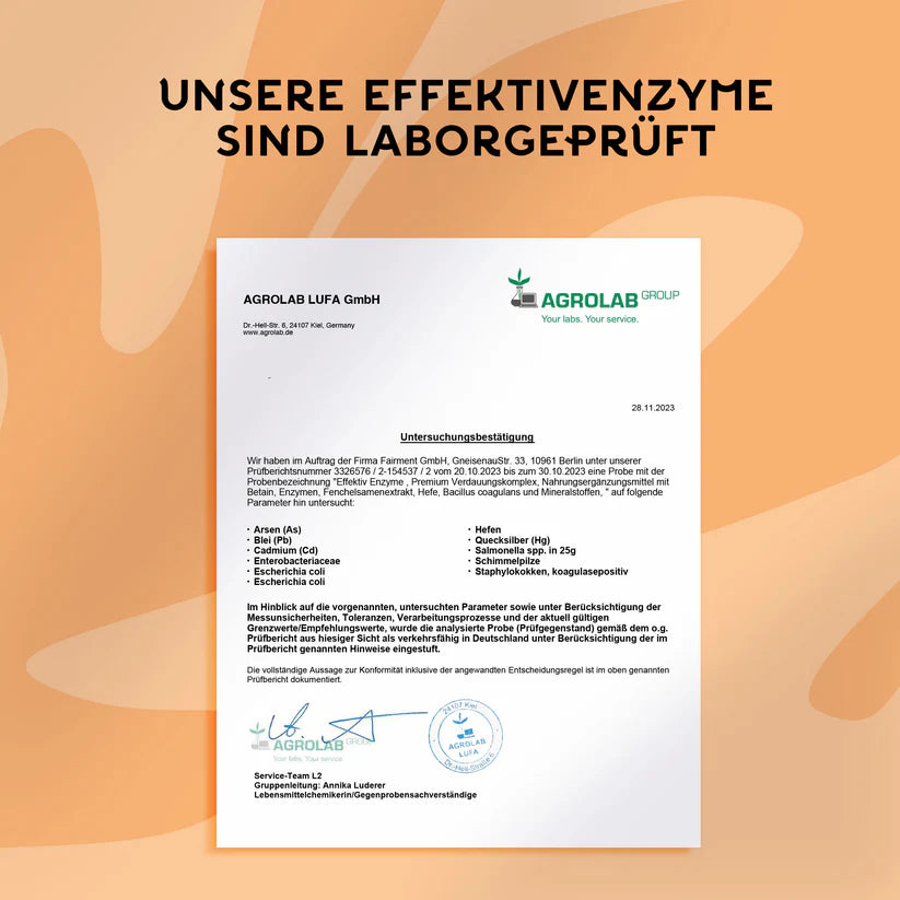 EffektivEnzyme - Premium Enzymkomplex 90 Kapseln-Natur-Live