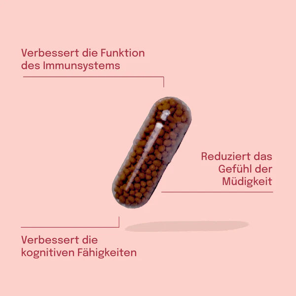 Sundt Ashwagandha Kapseln 60 Stück-Natur-Live