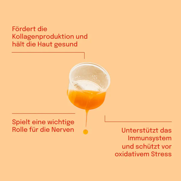 Sundt Liposomales Vitamin C 250 ml-Natur-Live